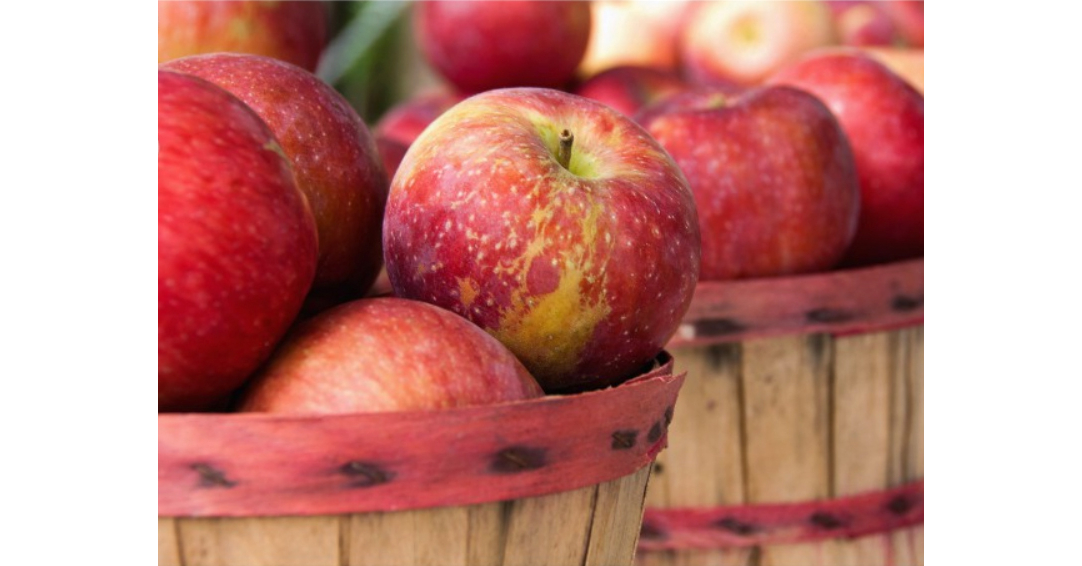 South Jersey Apple Fest Coming to Salem County, New Jersey